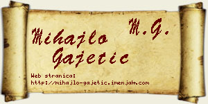 Mihajlo Gajetić vizit kartica